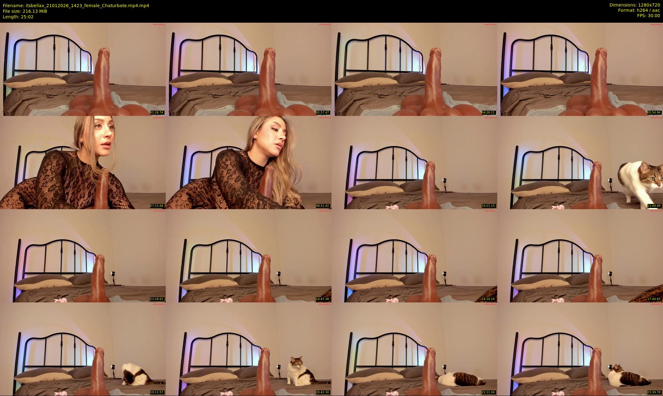 itsbellax — Chaturbate Female cam image, 2132×1274, Jan 21, 2026